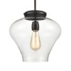 Elk Home, Amore 12'' Wide 1-Light Pendant