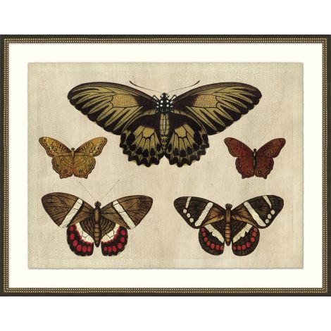 Wendover, Crackled Butterfly Chart