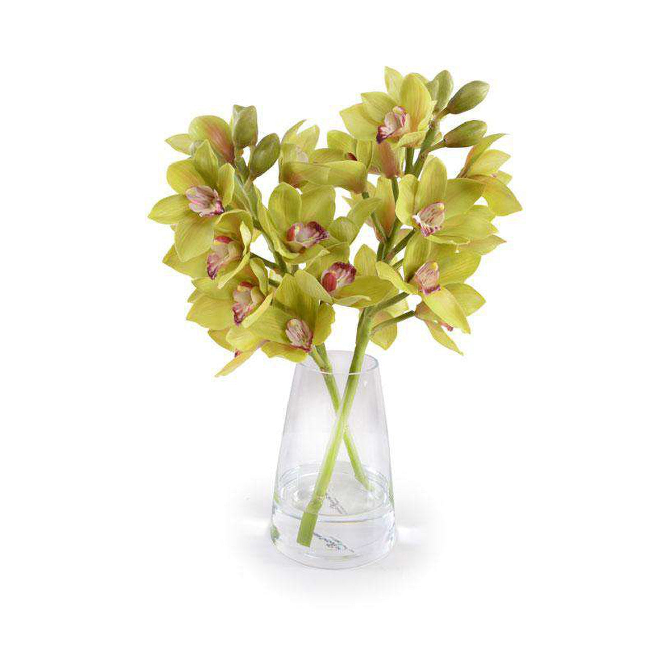 New Growth Designs, Cymbidium Orchid Arrangement