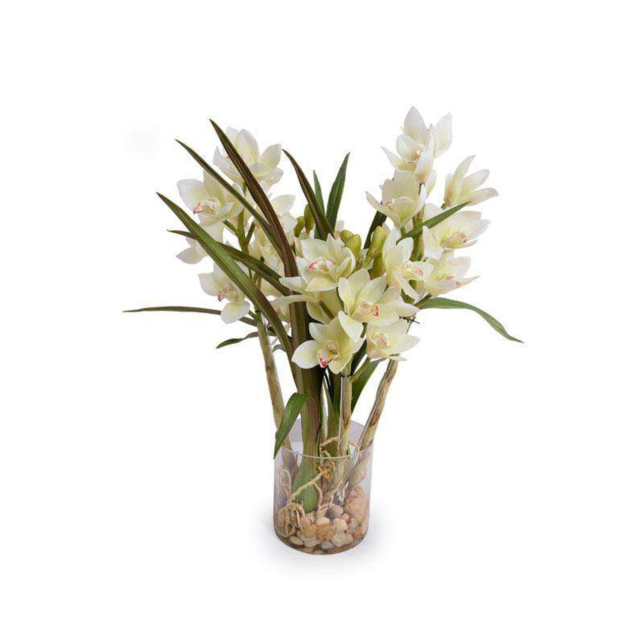 New Growth Designs, Cymbidium Orchid - Large