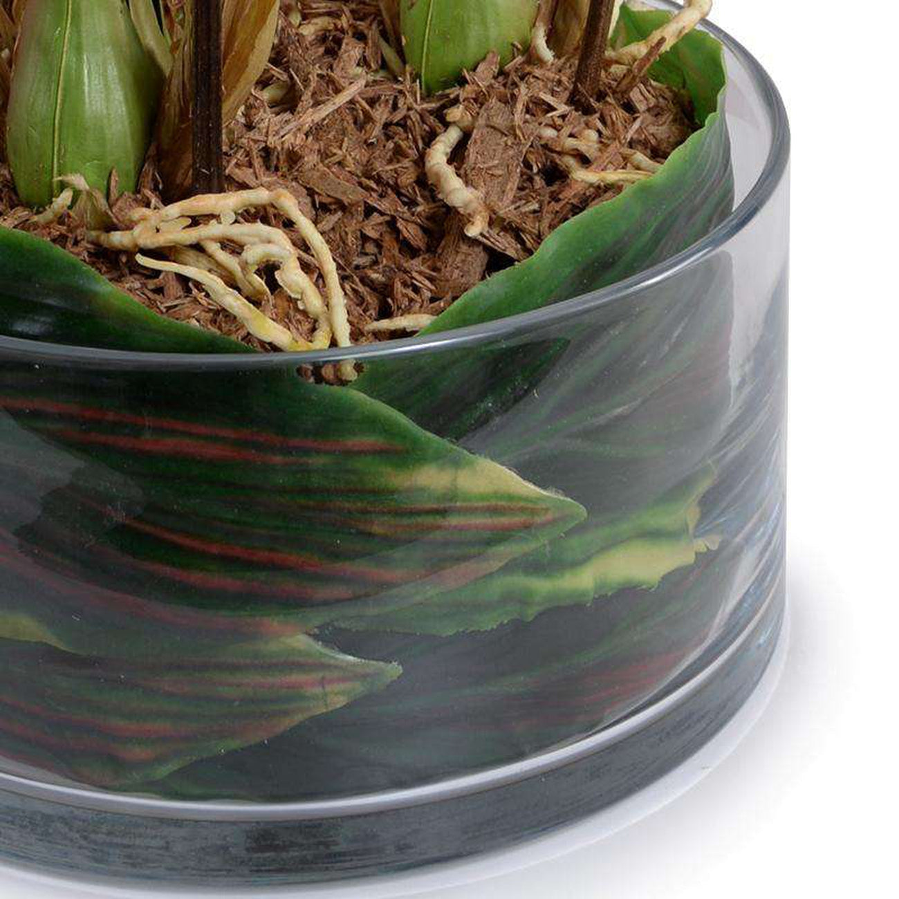 New Growth Designs, Cymbidium Orchid Leaf It - Green