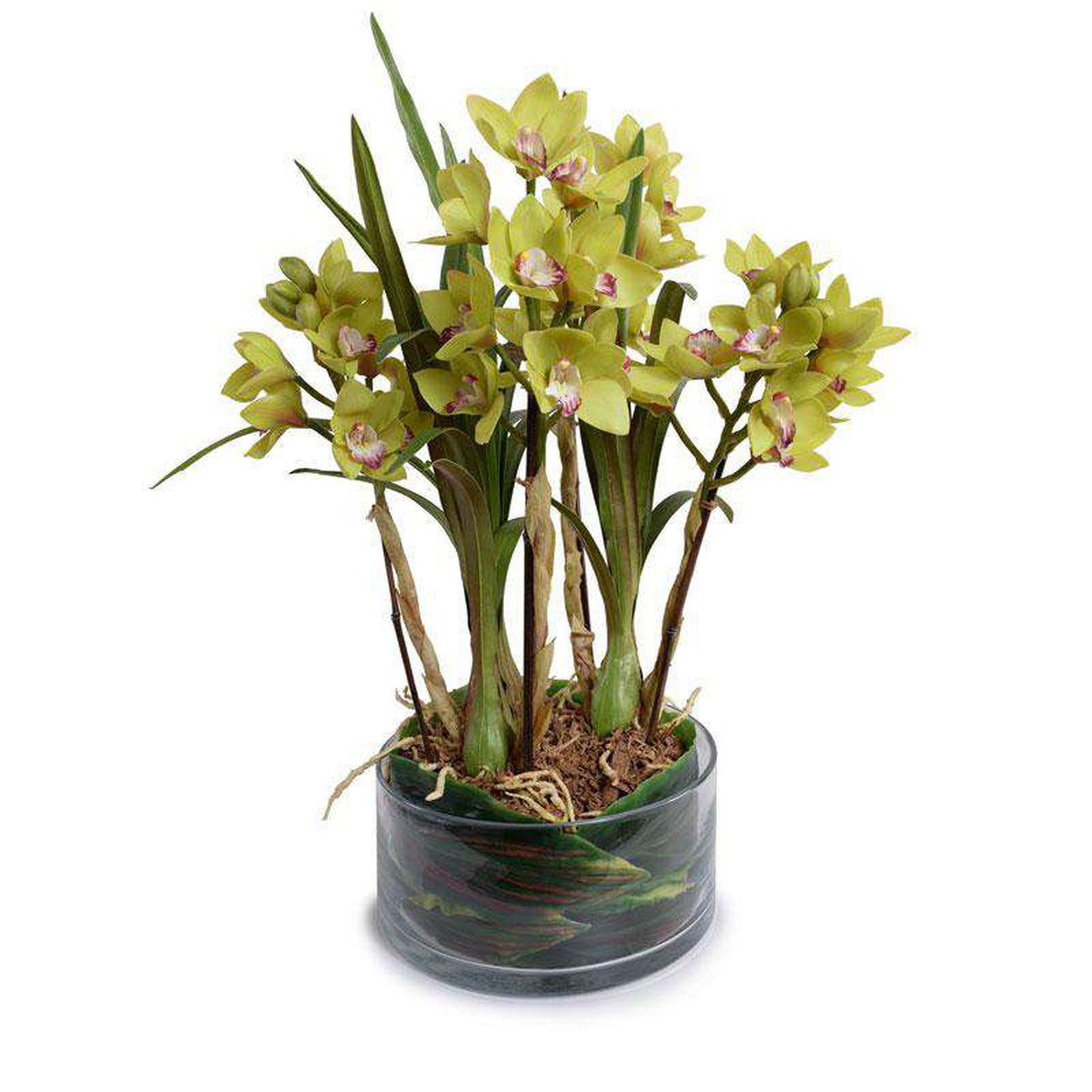 New Growth Designs, Cymbidium Orchid Leaf It - Green