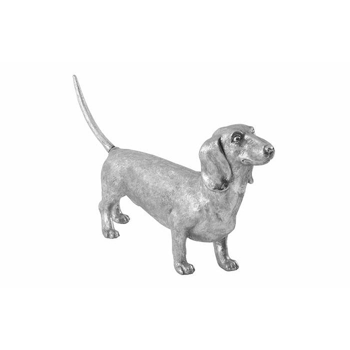 Phillips Collection, Dachshund